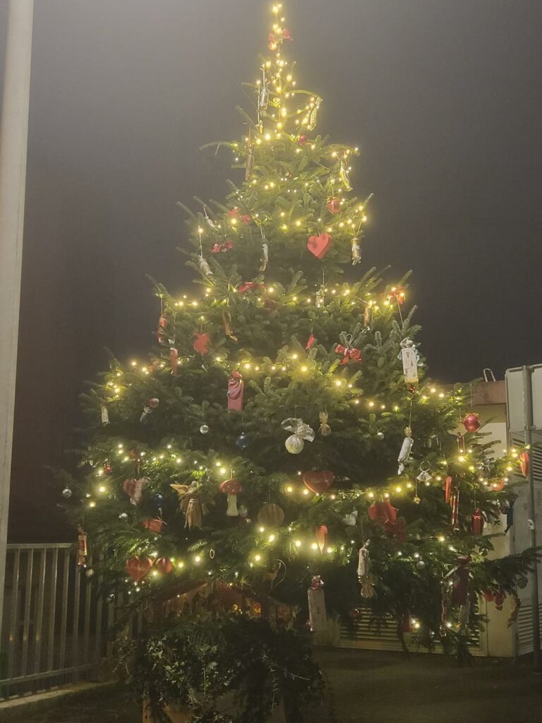 Tradicionalno kićenje bora i blagoslov jaslica u Lukšiću